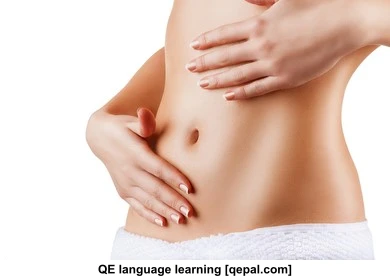 تصویر فلش کارت abdomen