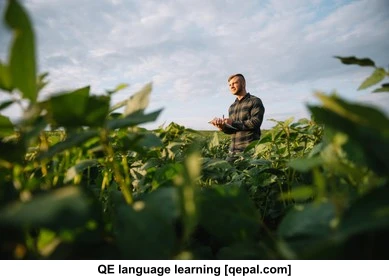 تصویر فلش کارت agronomist