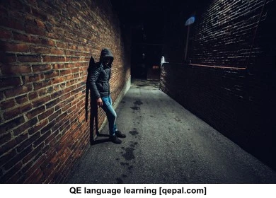 تصویر فلش کارت alley