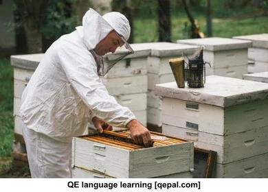 تصویر فلش کارت apiarist