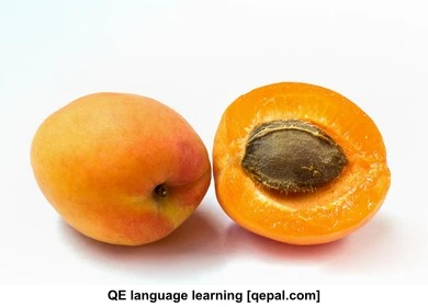 تصویر فلش کارت apricot