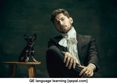 تصویر فلش کارت aristocratic