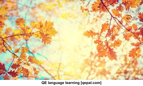 تصویر فلش کارت autumnal