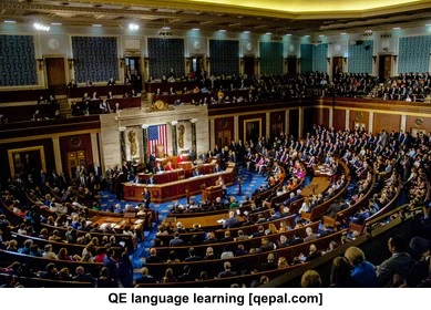 تصویر فلش کارت bicameral