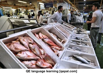 تصویر فلش کارت billingsgate