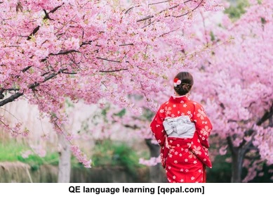 تصویر فلش کارت blossoming