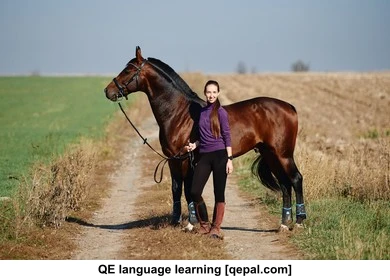 تصویر فلش کارت bridle