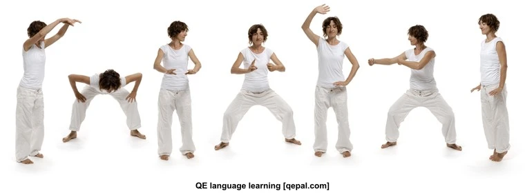 تصویر فلش کارت brocade
