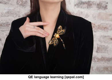 تصویر فلش کارت brooch