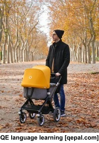 تصویر فلش کارت bugaboo