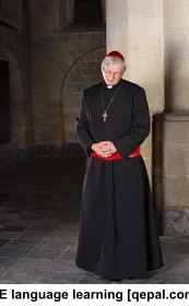 تصویر فلش کارت cardinal