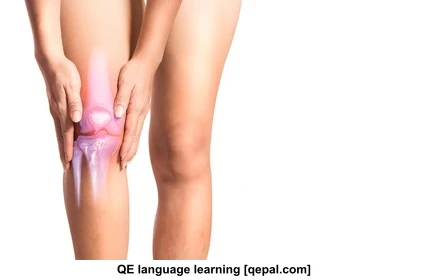 تصویر فلش کارت cartilage