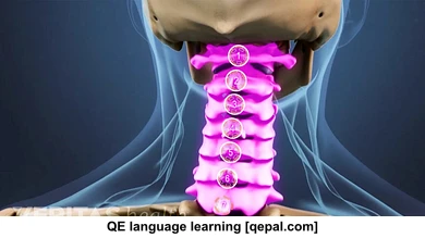 تصویر فلش کارت cervical