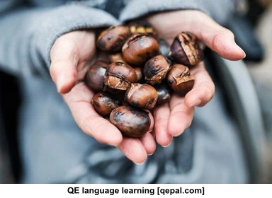 تصویر فلش کارت chestnut