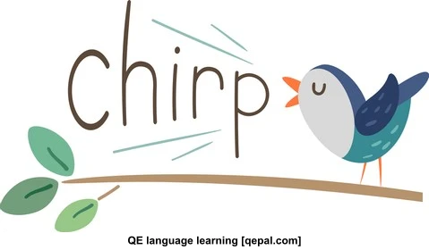 تصویر فلش کارت chirp