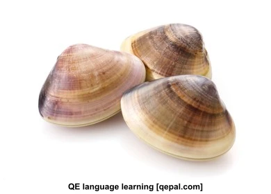تصویر فلش کارت clam