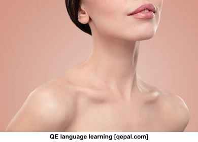 تصویر فلش کارت clavicle
