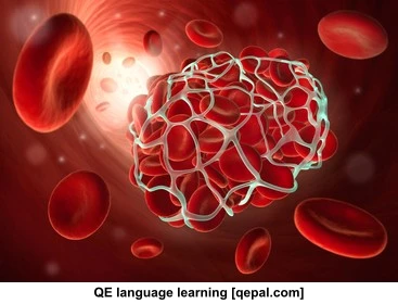 تصویر فلش کارت coagulation