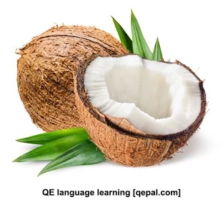 تصویر فلش کارت coconut