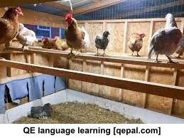تصویر فلش کارت cote