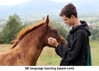 تصویر فلش کارت courser
