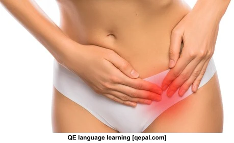 تصویر فلش کارت cyst
