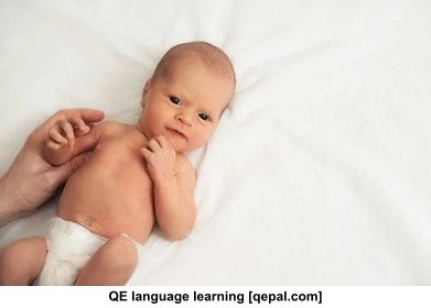 تصویر فلش کارت diaper