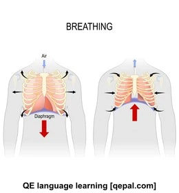 تصویر فلش کارت diaphragm