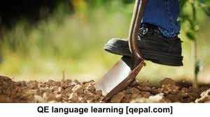 تصویر فلش کارت dig up