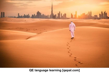 تصویر فلش کارت emir