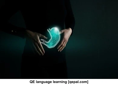 تصویر فلش کارت enzyme