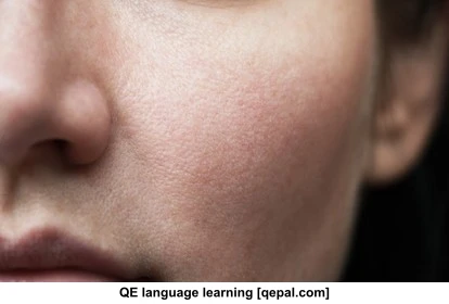 تصویر فلش کارت epidermis