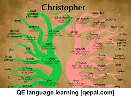 تصویر فلش کارت etymology