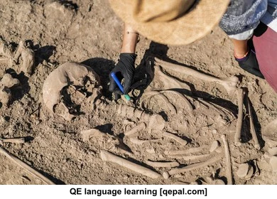 تصویر فلش کارت exhume