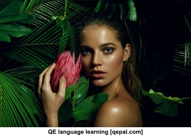 تصویر فلش کارت exotic