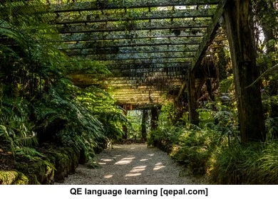 تصویر فلش کارت fernery