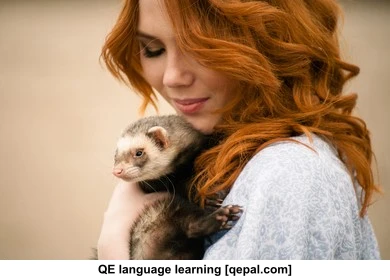 تصویر فلش کارت ferret