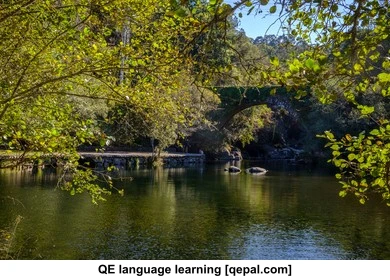 تصویر فلش کارت fluvial