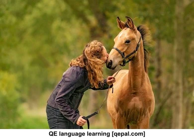 تصویر فلش کارت foal