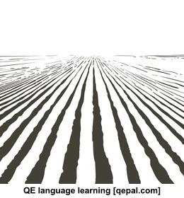 تصویر فلش کارت furrow