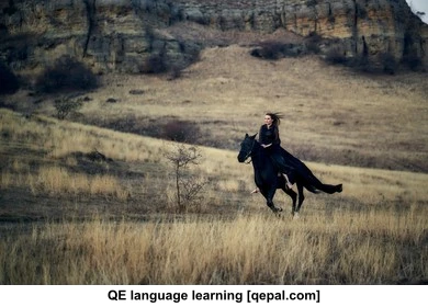 تصویر فلش کارت gallop