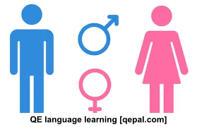 تصویر فلش کارت gender