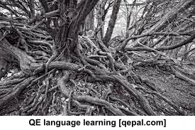 تصویر فلش کارت gnarled