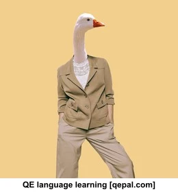 تصویر فلش کارت goose
