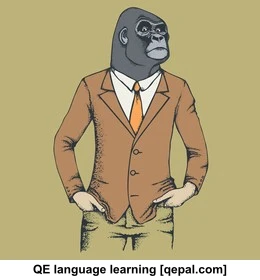 تصویر فلش کارت gorilla