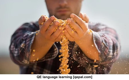 تصویر فلش کارت grain