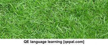 تصویر فلش کارت grass