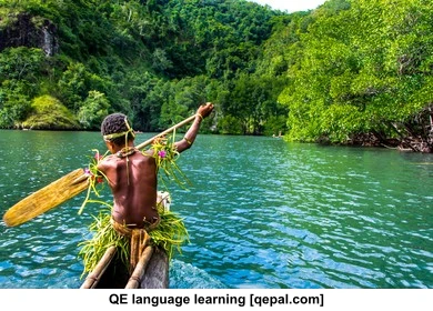 تصویر فلش کارت guinea