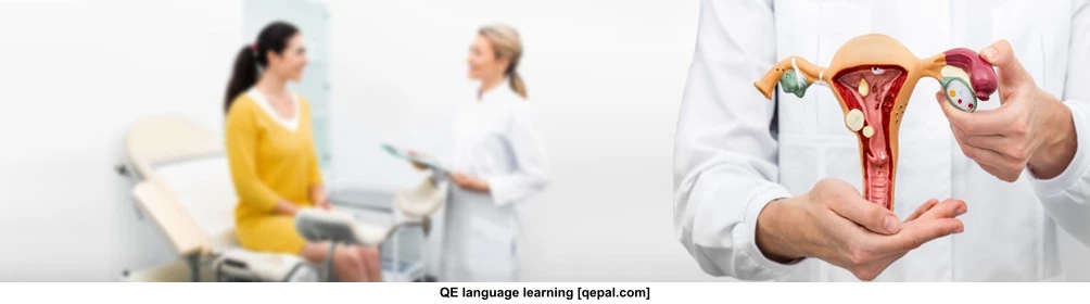 تصویر فلش کارت gynecology