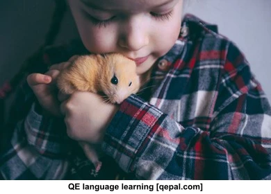 تصویر فلش کارت hamster